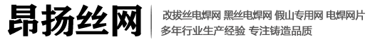 河北昂扬丝网制品有限公司